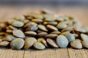 lentilles 100% BIO