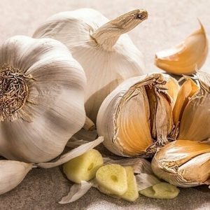 ail bio origine France