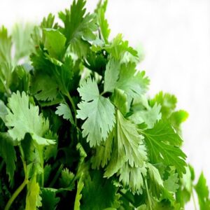 Persil Plat Frais