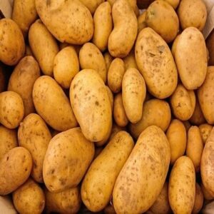 Pommes de terres grenailles Bio